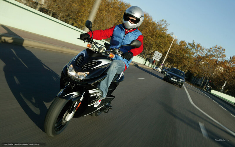 Person Riding Scooter — Black, Dynamic, Autumn