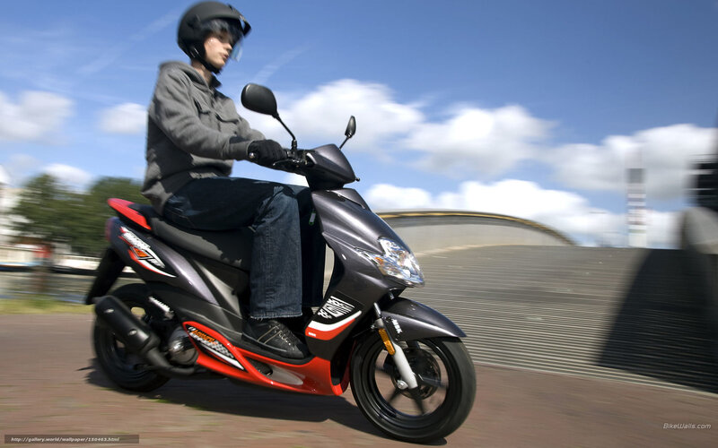 Person Riding Scooter — Gray, Dynamic