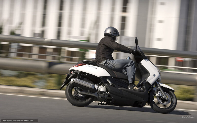 Person Riding Scooter — White, Dynamic, Afternoon