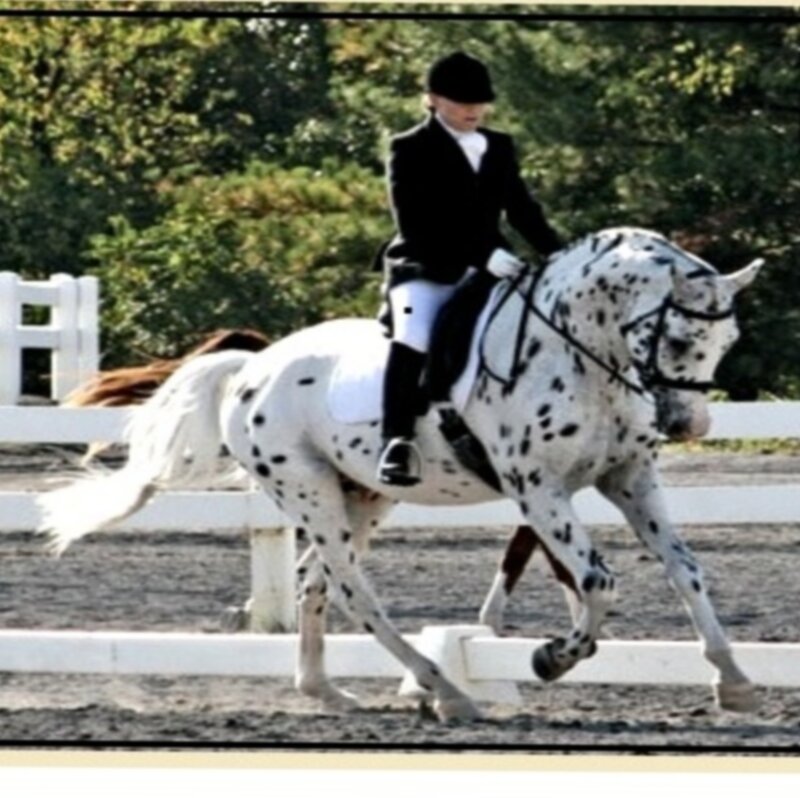 Person Riding Spotted Horse