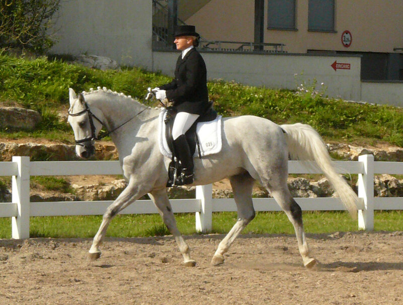 Person Riding White Horse — Calm