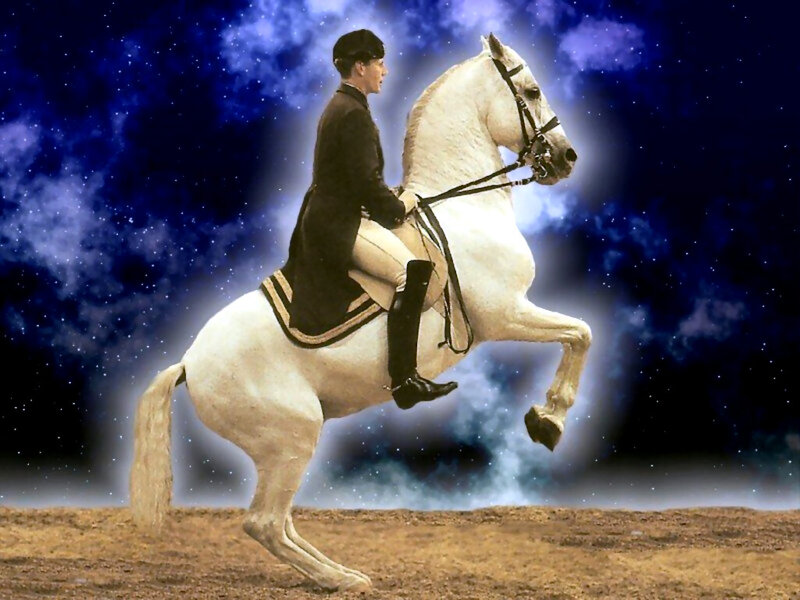 Person Riding White Horse — Dramatic