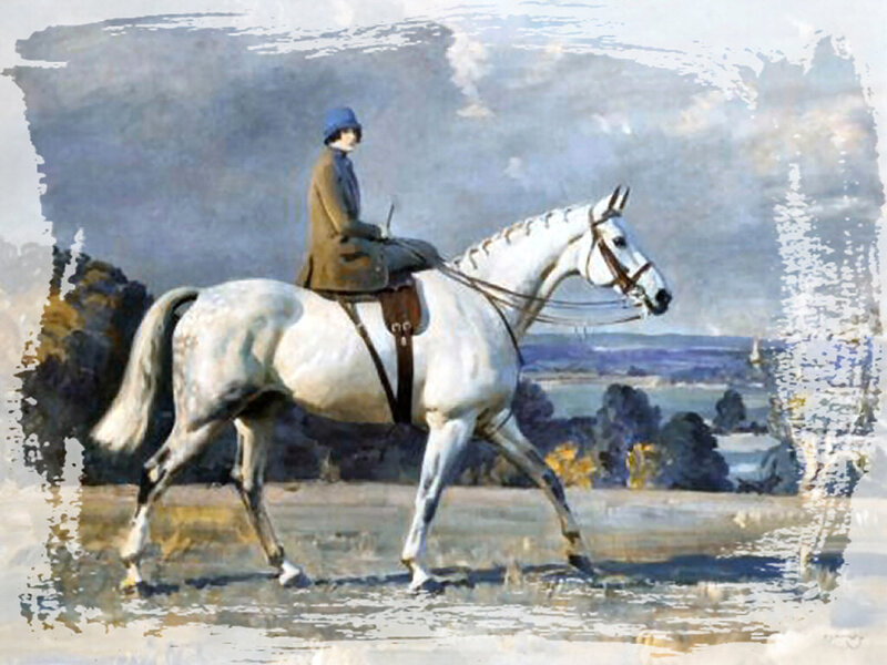Person Riding White Horse — Serene