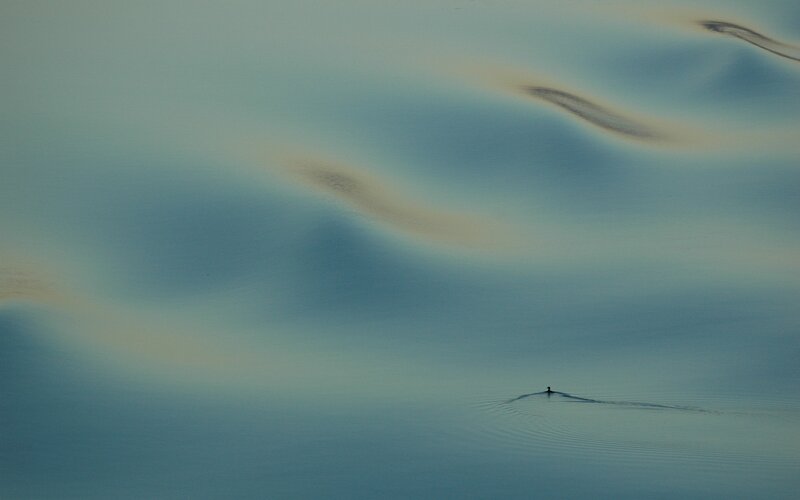 Person Rowing a Boat