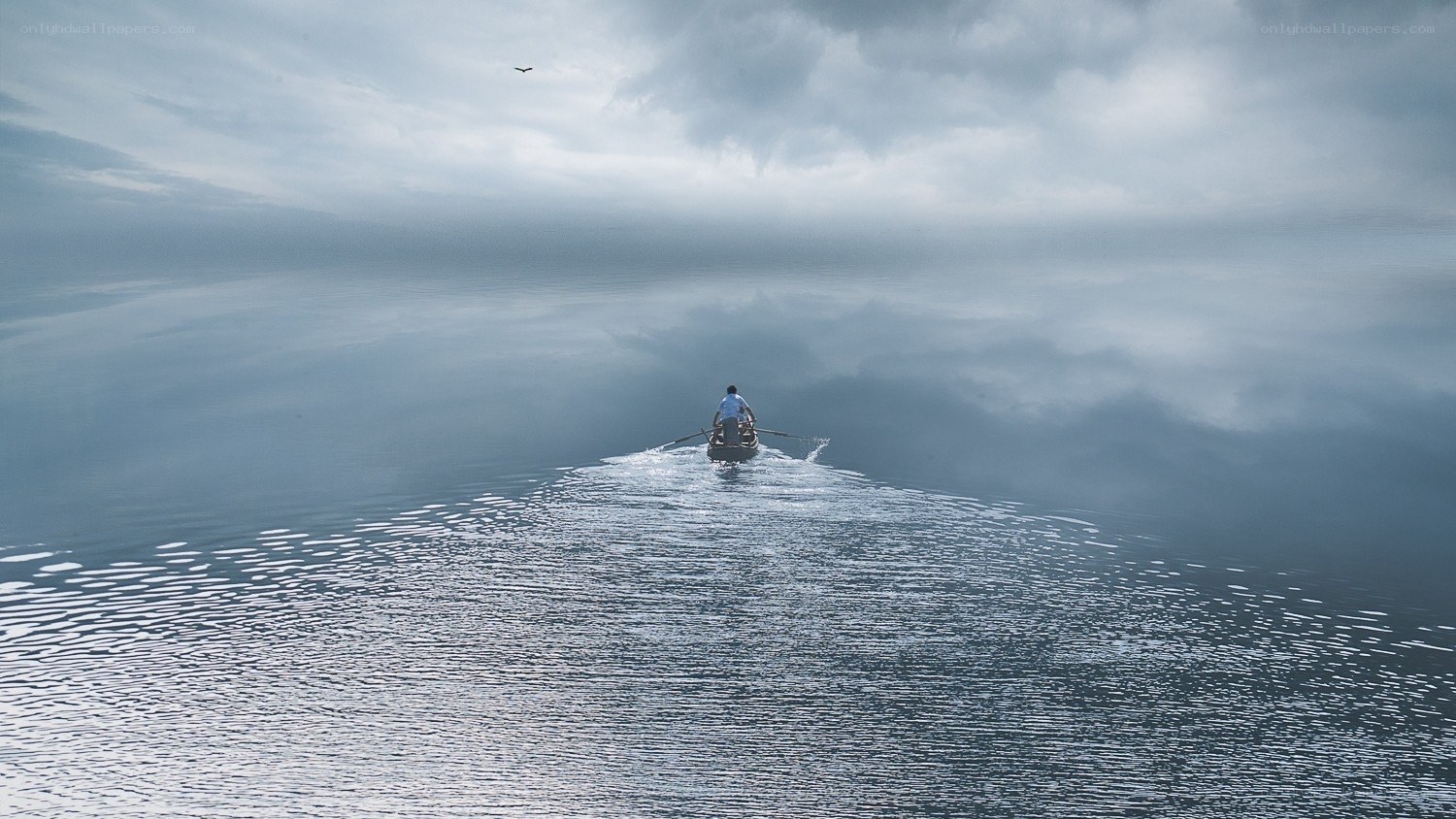 Person rowing boat on calm water