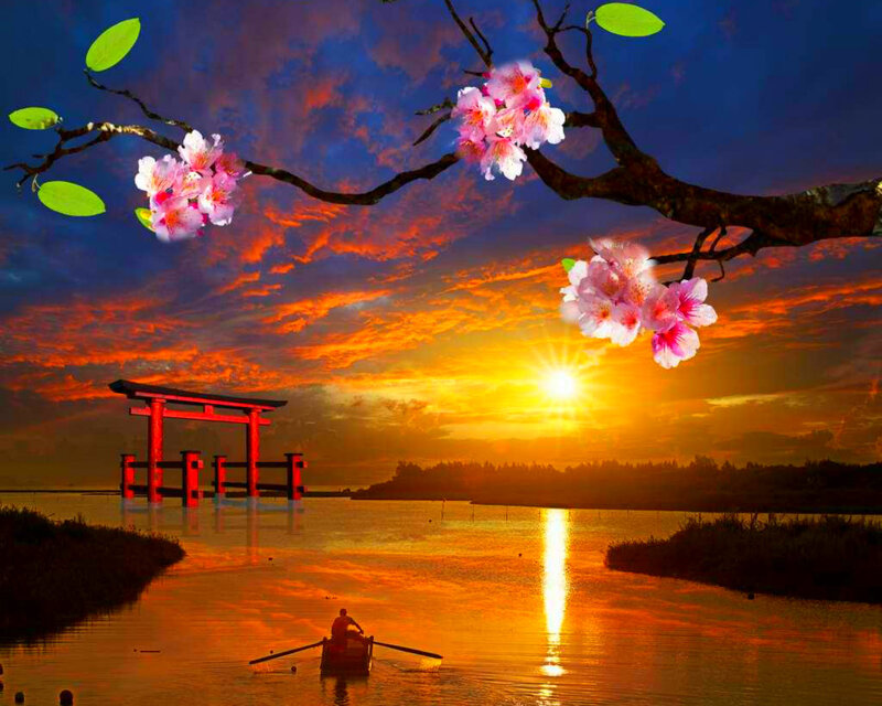 Person Rowing Boat — Orange, Serene