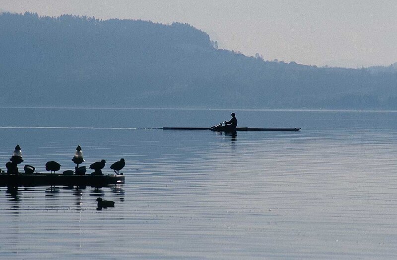 Person Rowing on Lake — Blue