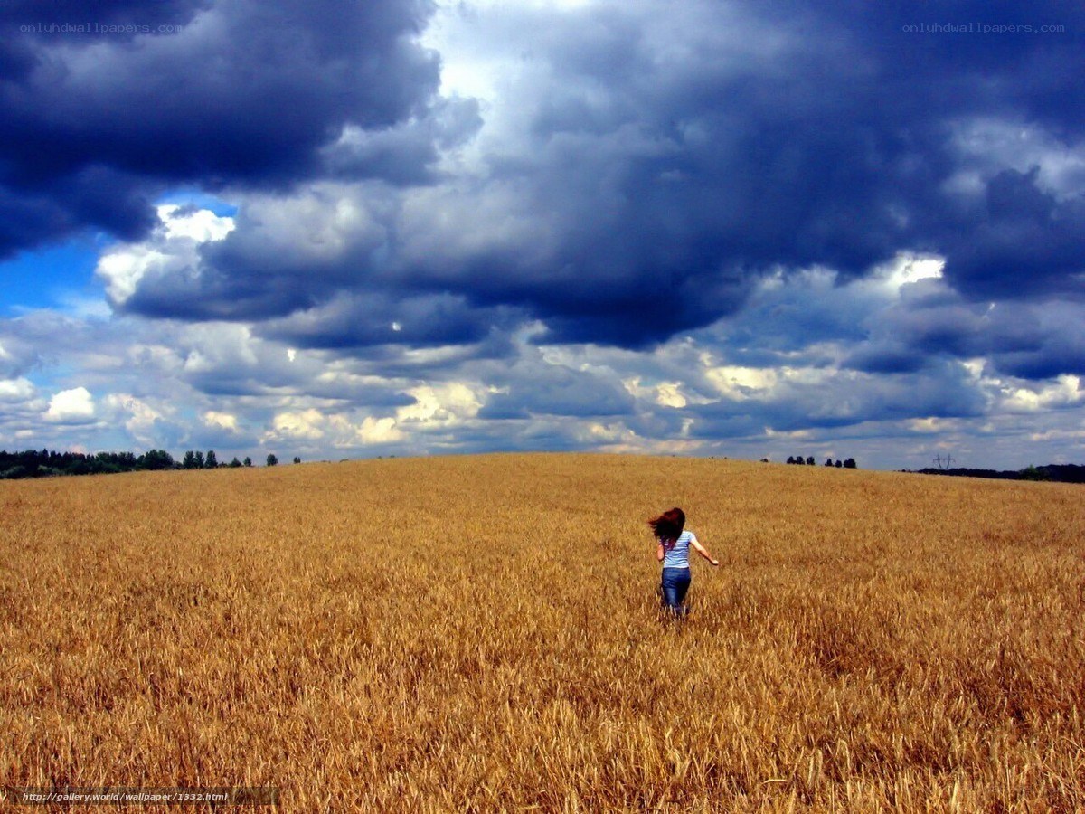 Person running in a wheat field