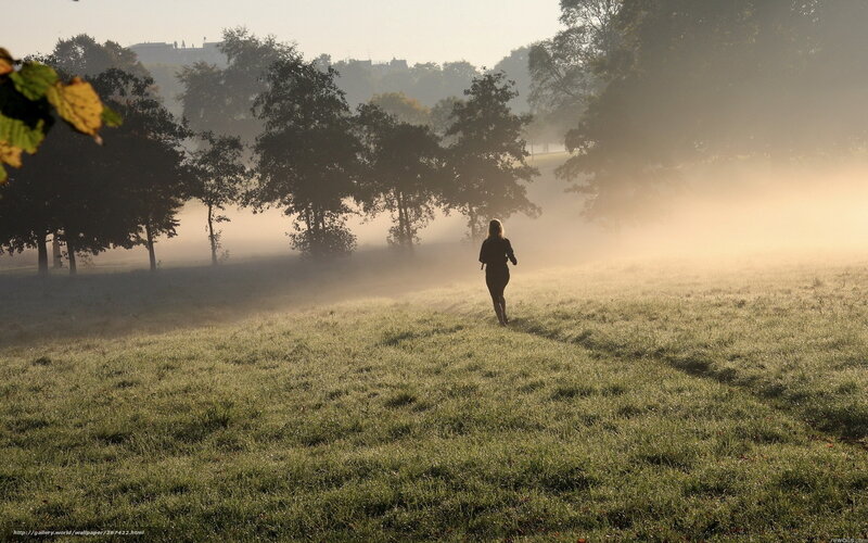 person running in foggy park