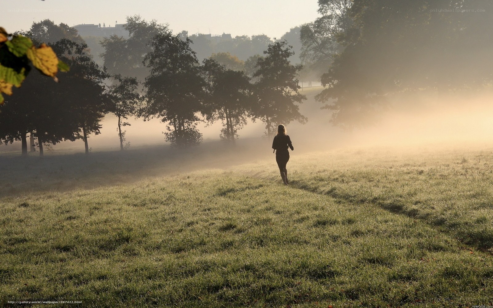 person running in foggy park