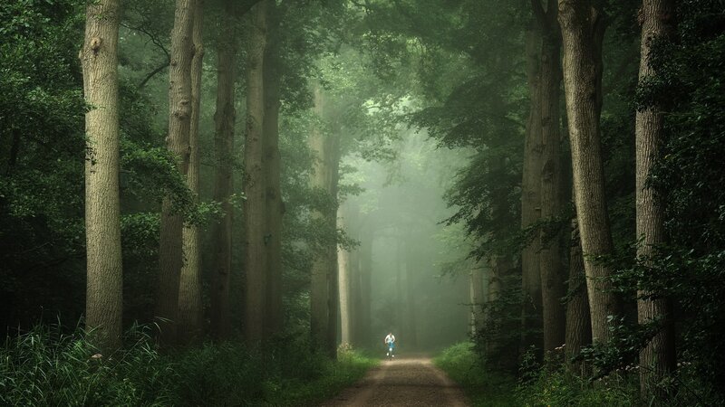 Person Running in Forest — Green