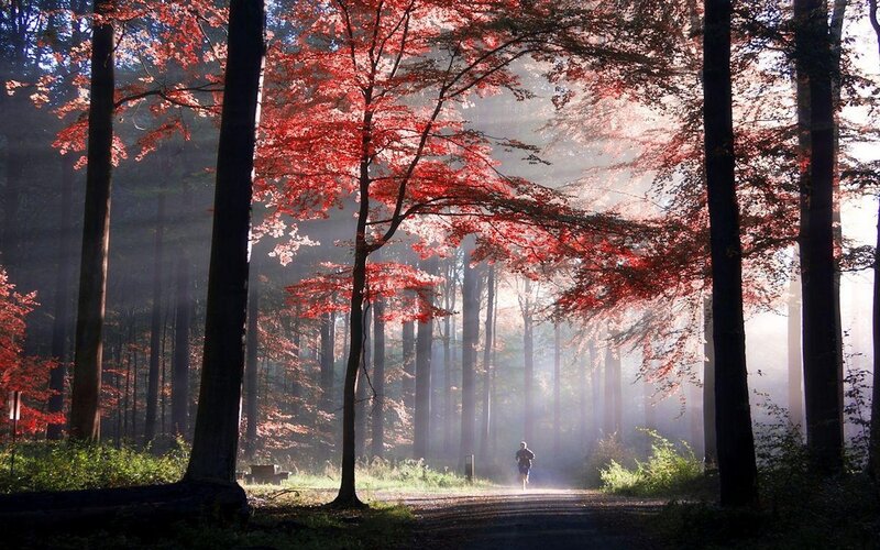 Person Running in Forest — Red