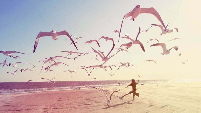 Person Running on Beach — Blue, Serene, Sunset, Photograph