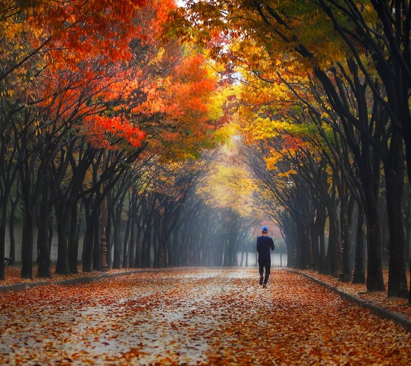 Person Running on Path — Orange