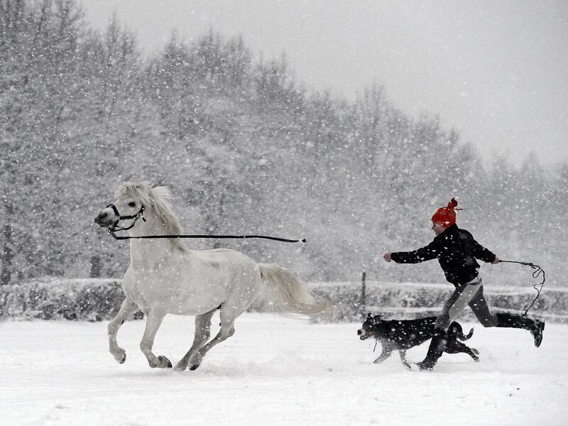 Person Running with Horse