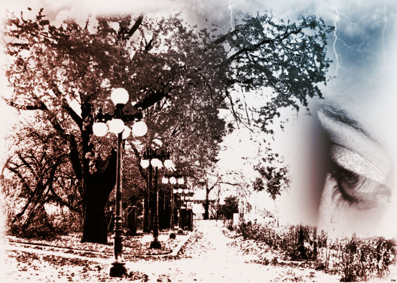 Person's Eye in Park