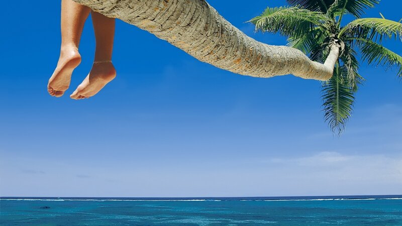 Person's Feet on Palm Tree — Blue, Serene