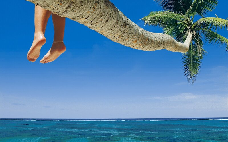 Person's Legs on Palm Tree — Blue