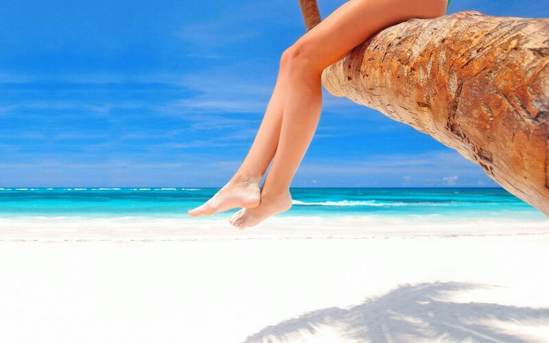Person's Legs on Palm Tree