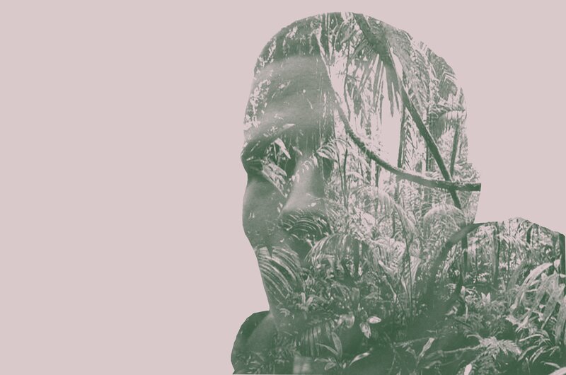 Person's Profile with Forest