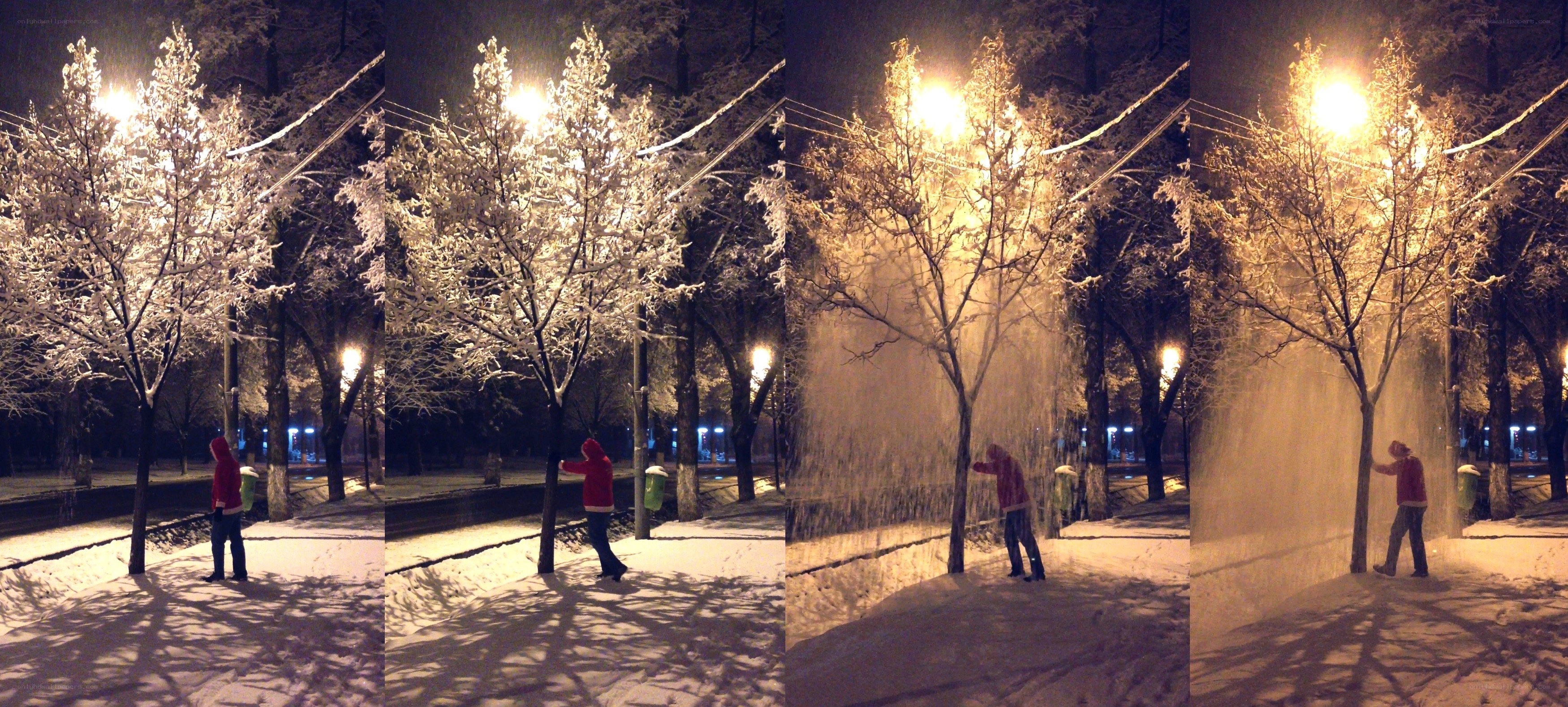 person shaking snow from tree