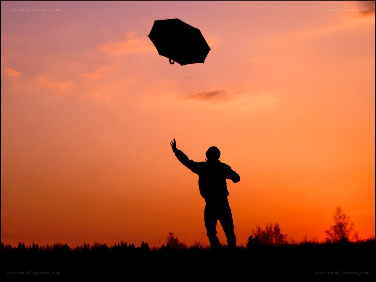 person silhouetted against sunset