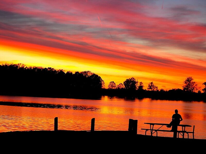Person Sitting at Picnic Table
