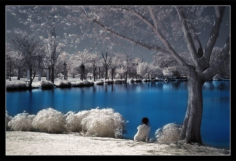 Person Sitting by Lake — Blue