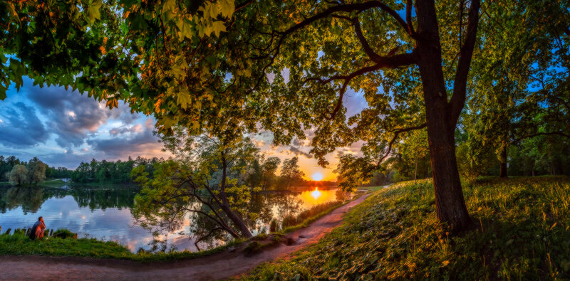Person Sitting by Lake — Green
