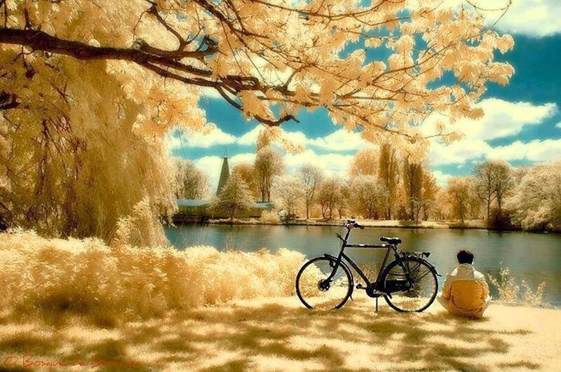 Person Sitting by Lake — Yellow, Serene