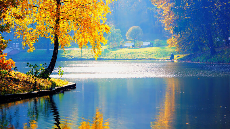 Person Sitting by Lake — Yellow