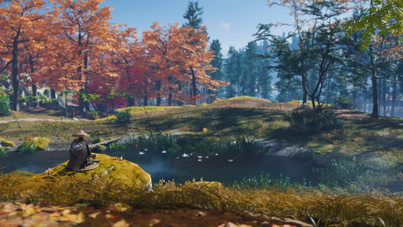 Person Sitting by Pond — Orange