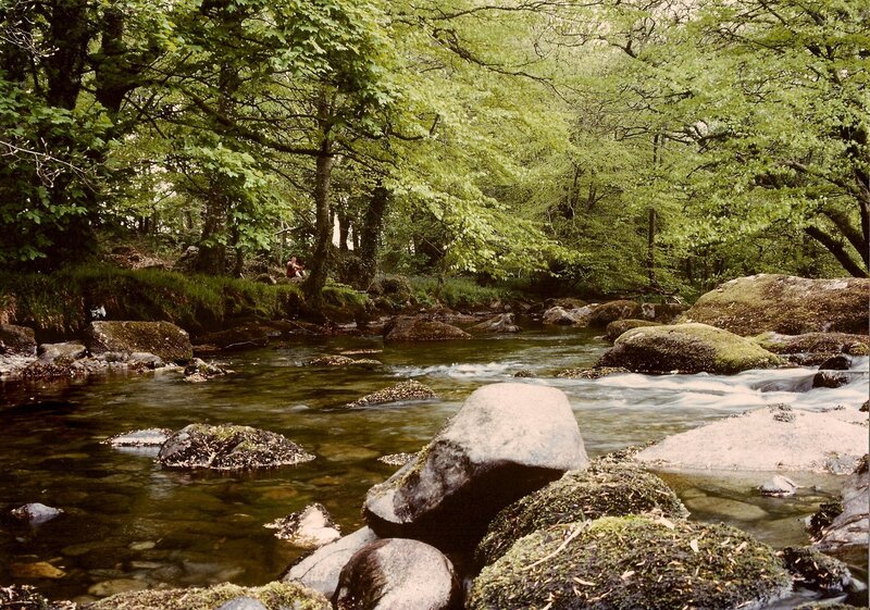 Person Sitting by River — Green, Serene, Spring