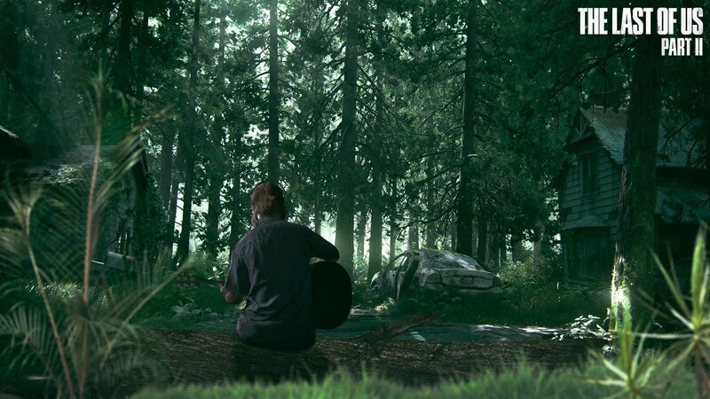Person Sitting in Forest — Green, Somber