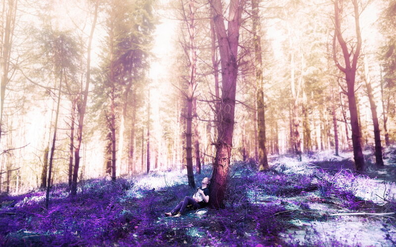 Person Sitting in Forest — Purple