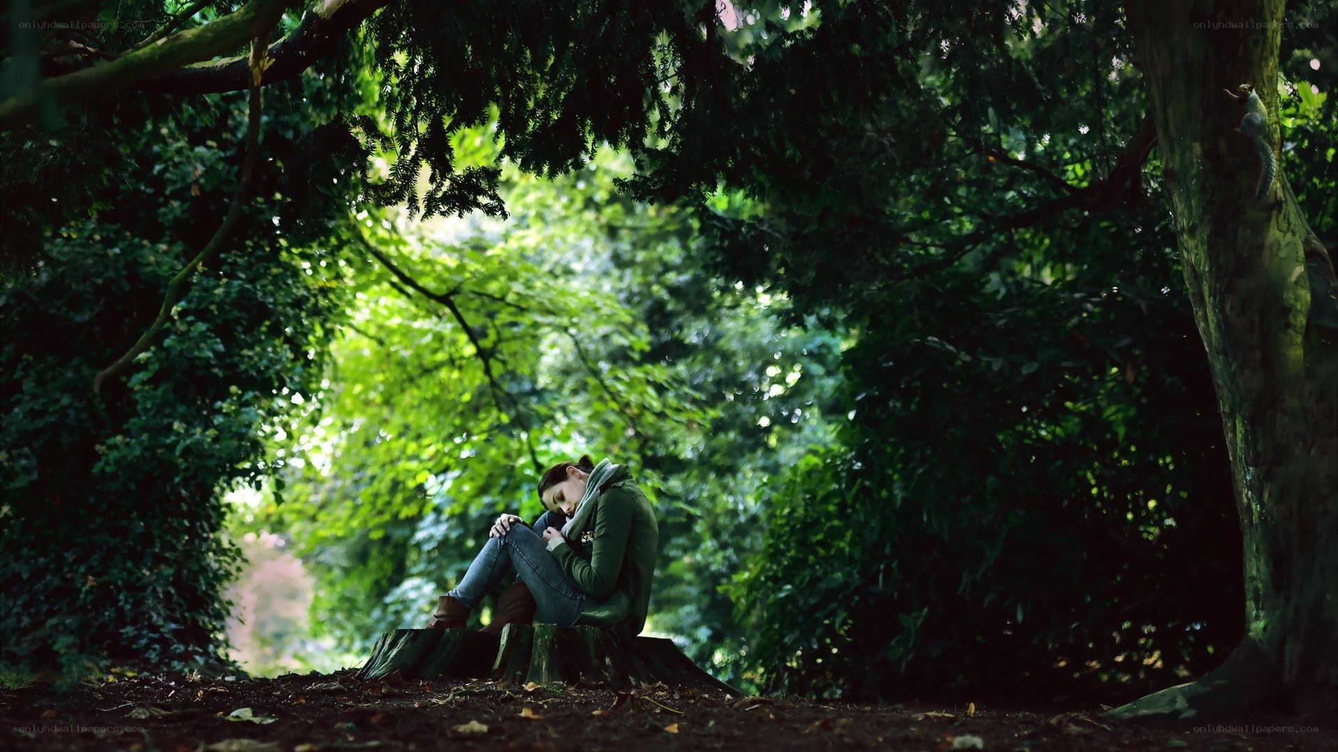 Person sitting in forest