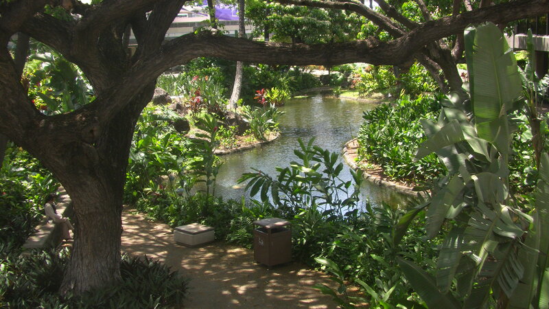 Person Sitting in Garden