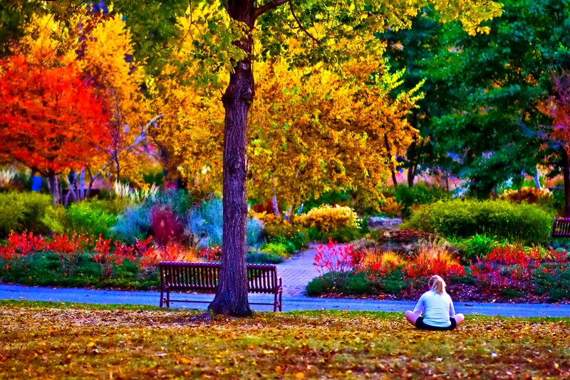 Person Sitting in Park