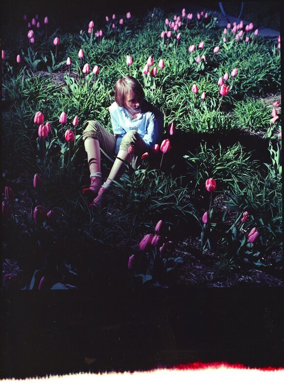 person sitting in tulip field