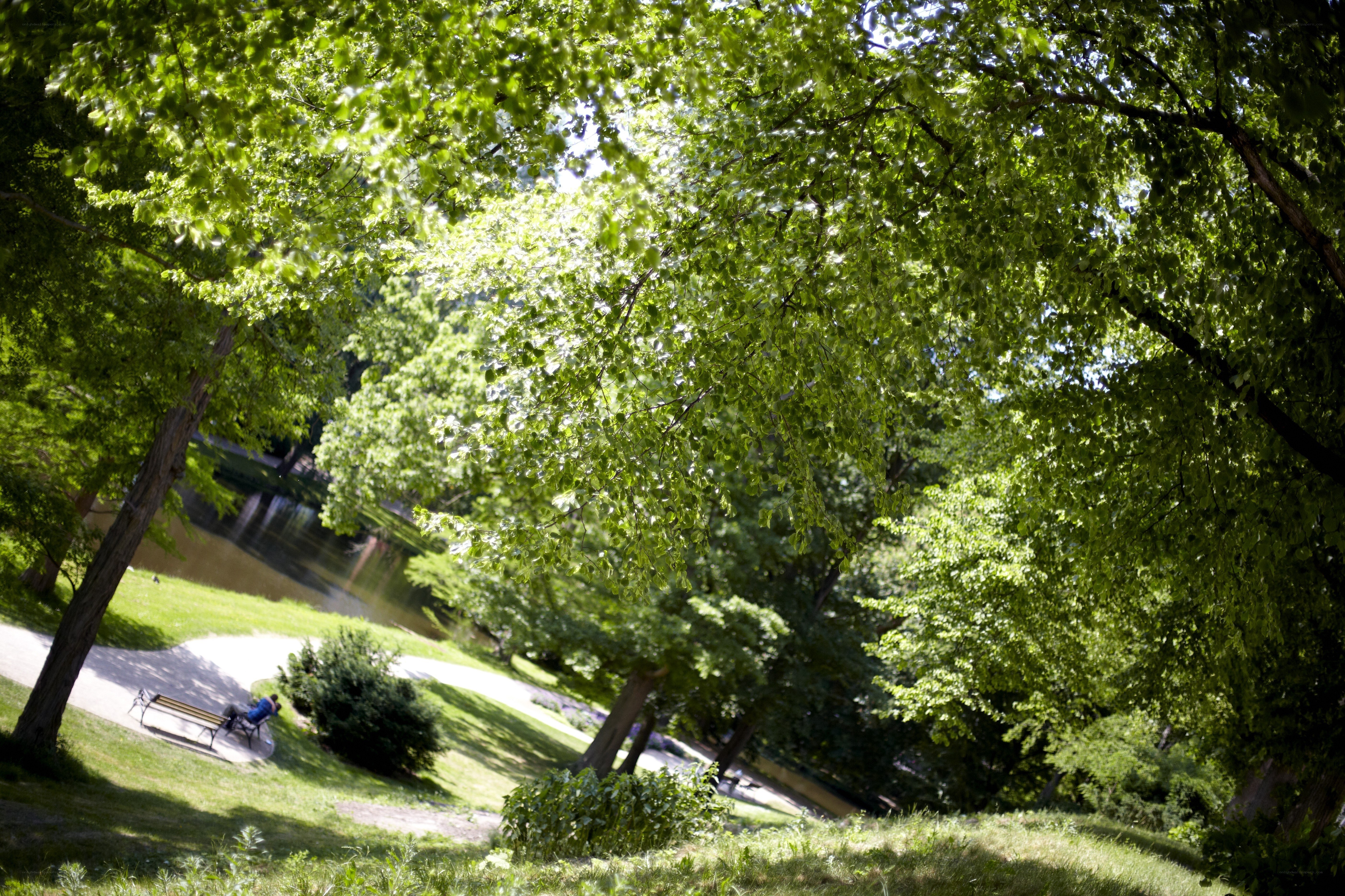 Person sitting on a park bench