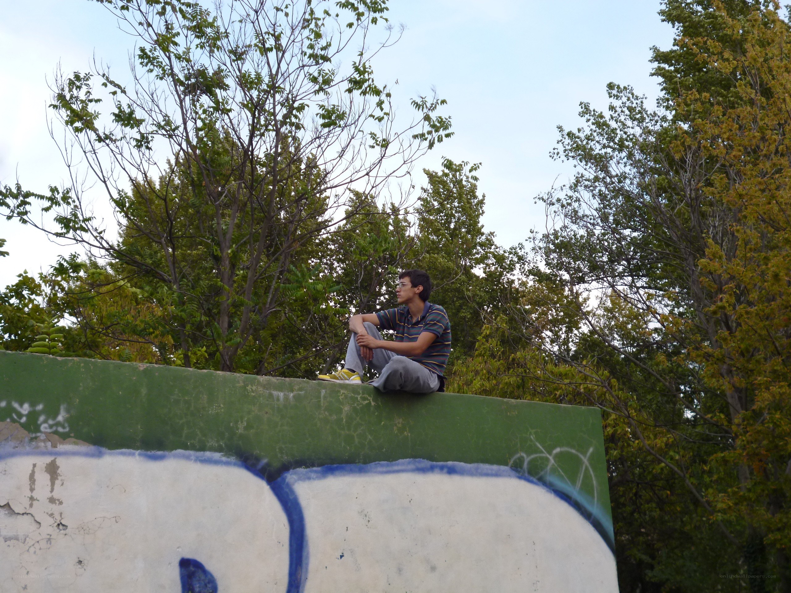 person sitting on a wall