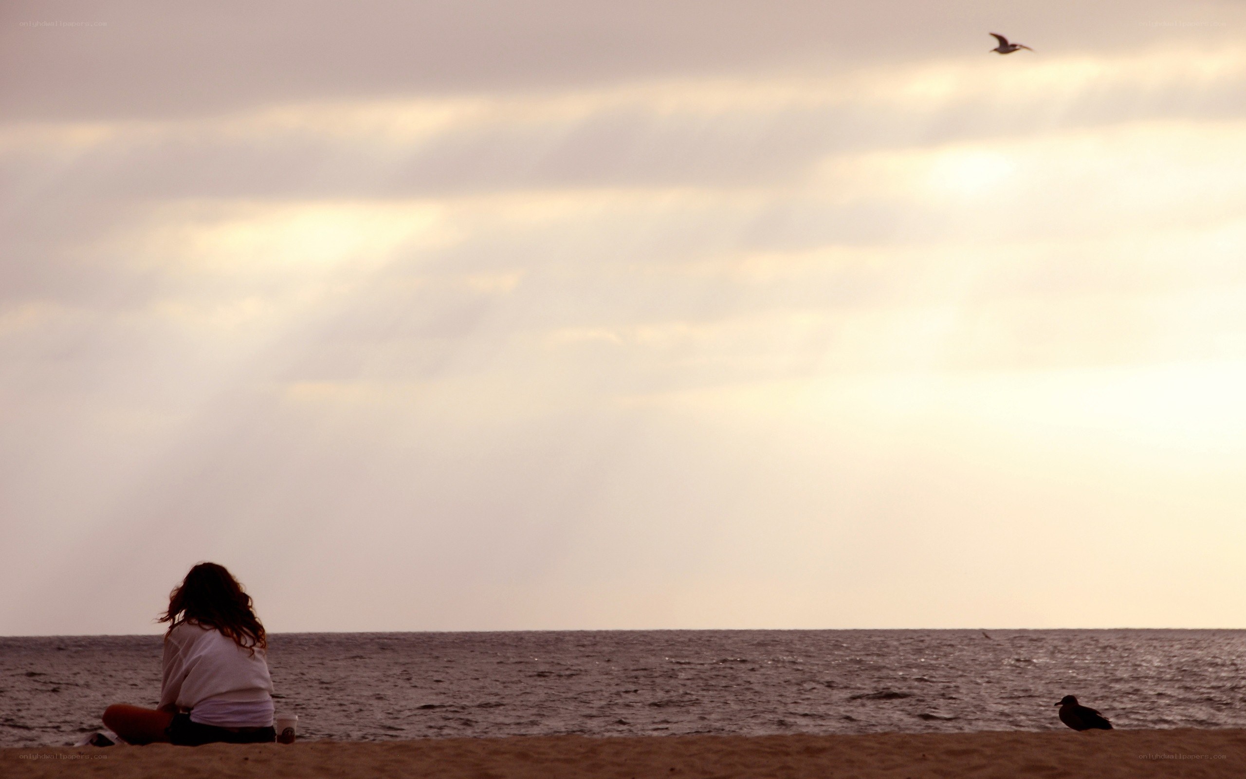 person sitting on beach at sunset