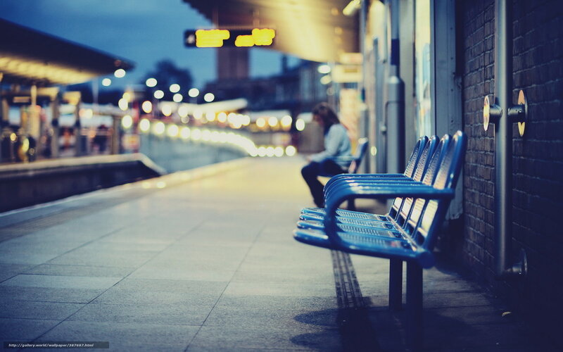 Person Sitting on Bench — Blue, Calm, Night, Photograph