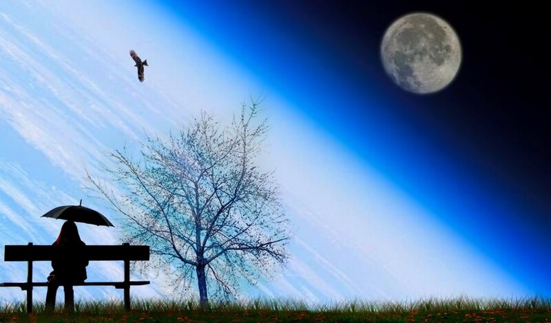 Person Sitting on Bench — Blue, Serene
