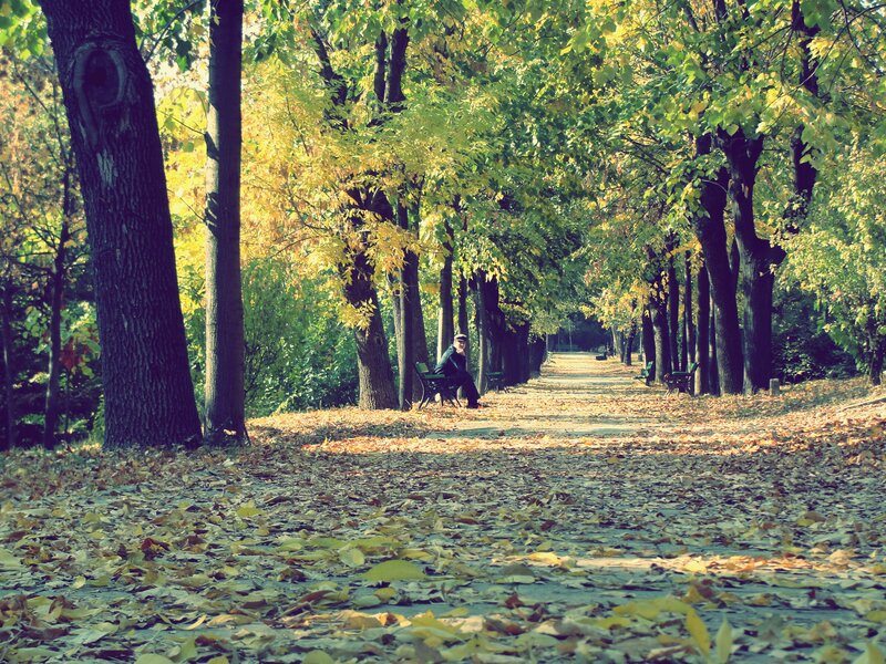 Person Sitting on Bench — Green