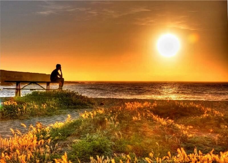 Person Sitting on Bench — Orange, Serene