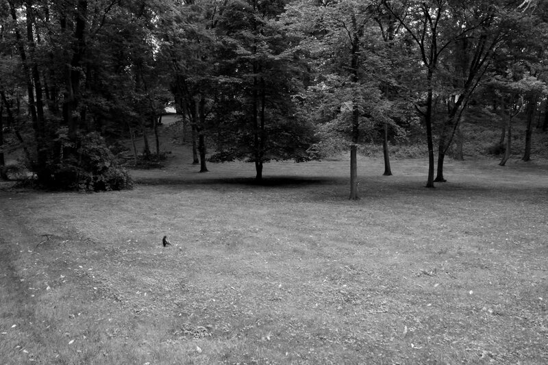 Person Sitting on Grass — Black, Serene