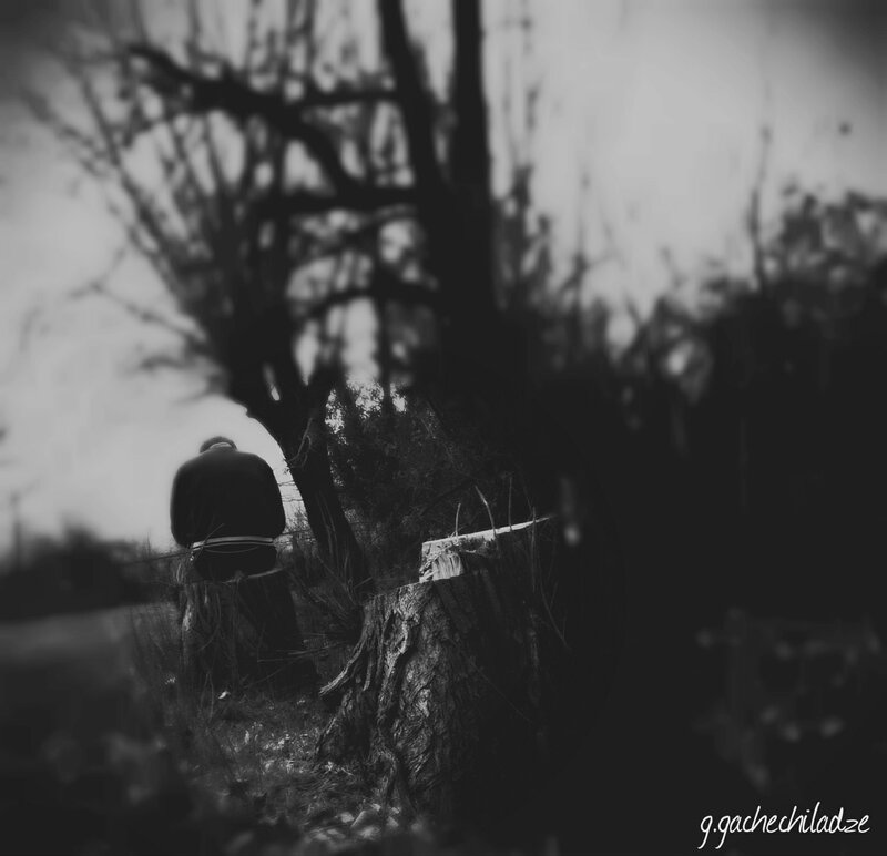 Person Sitting on Stump