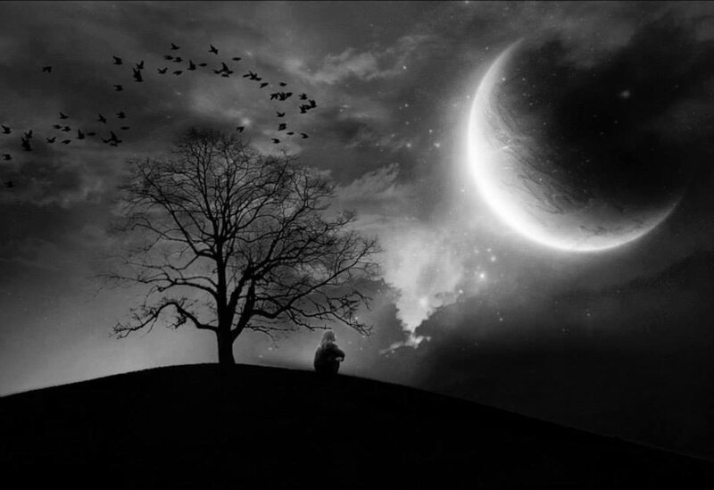 Person Sitting under Tree — Black, Dramatic