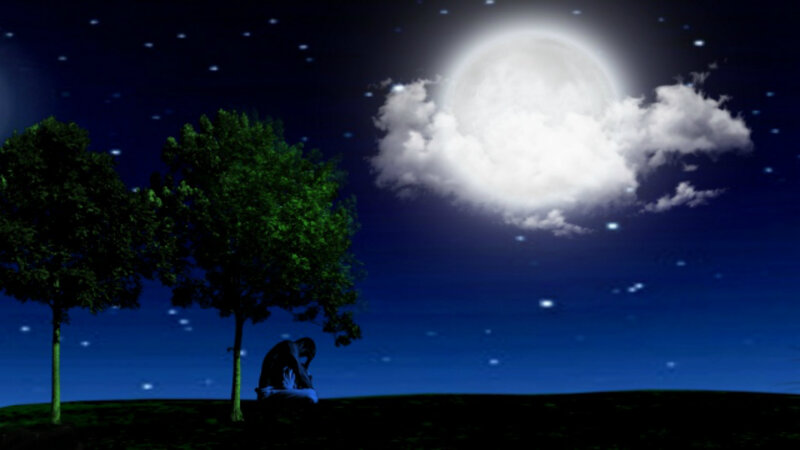 Person Sitting under Trees